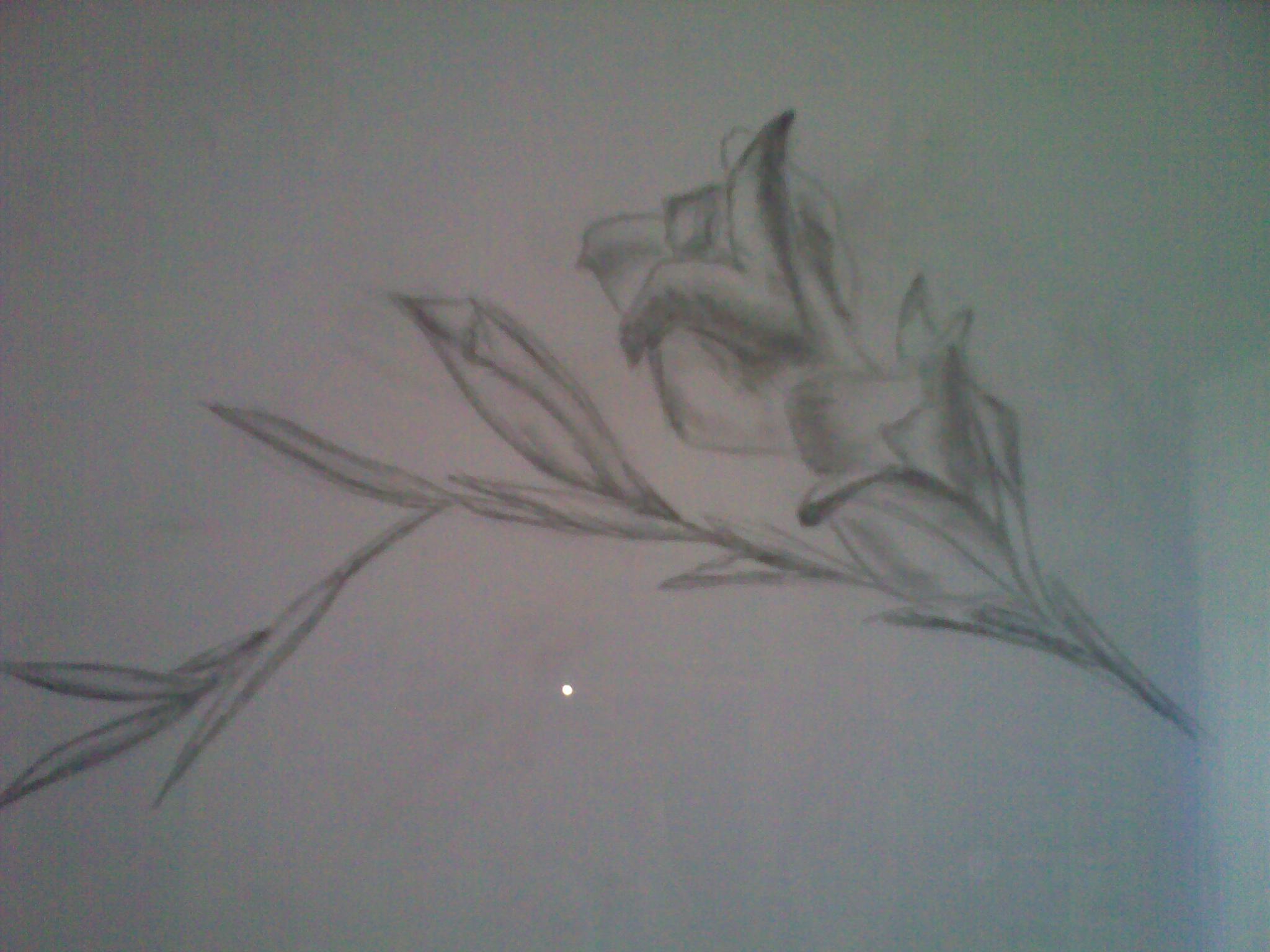 30052009138.jpg